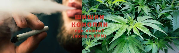 дмт Заводоуковск