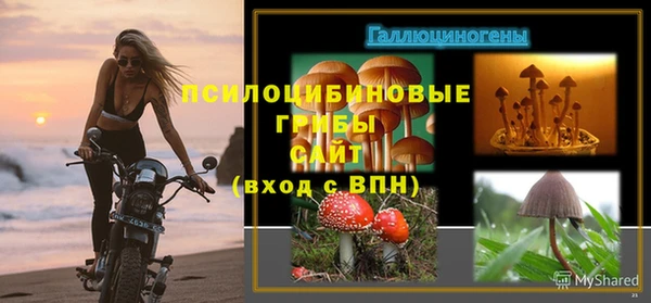 винт Беломорск