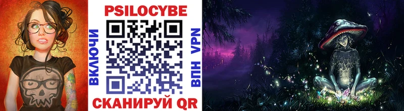 Псилоцибиновые грибы Psilocybine cubensis  Окуловка 